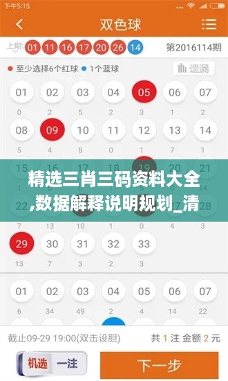 精选三肖三码资料大全,数据解释说明规划_清新版VJX8.18