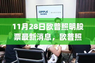 11月28日欧普照明股票最新动态与行业焦点概览