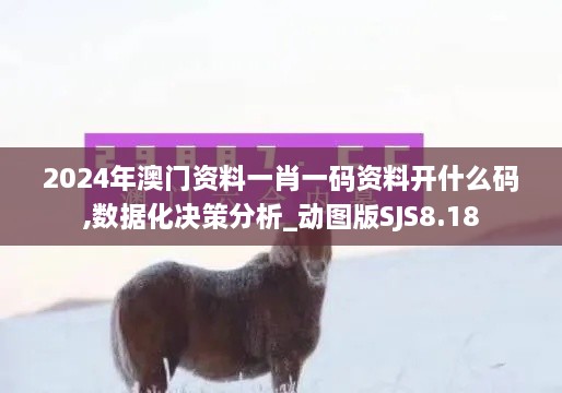 2024年澳门资料一肖一码资料开什么码,数据化决策分析_动图版SJS8.18