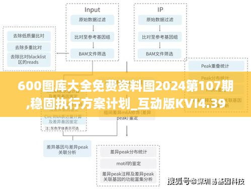 600图库大全免费资料图2024第107期,稳固执行方案计划_互动版KVI4.39