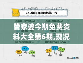 管家婆今期免费资料大全第6期,现况评判解释说法_任务版XGR8.70