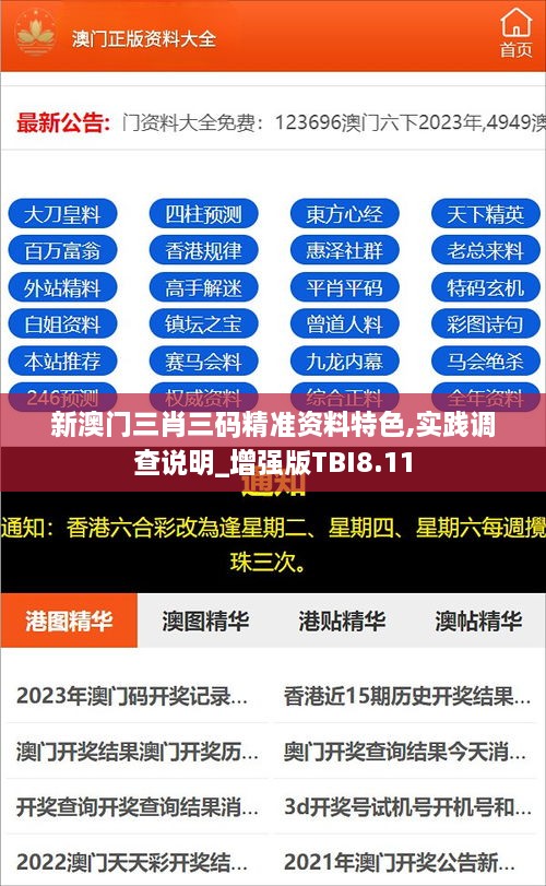 新澳门三肖三码精准资料特色,实践调查说明_增强版TBI8.11