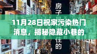 揭秘神秘绿色秘境，环保与美食的不期而遇——11月28日热门家污染新闻解读