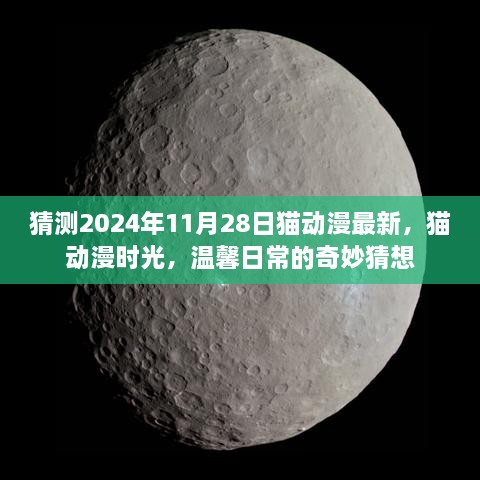 猫动漫时光，温馨日常的奇妙猜想，最新猫动漫猜想2024年11月28日更新