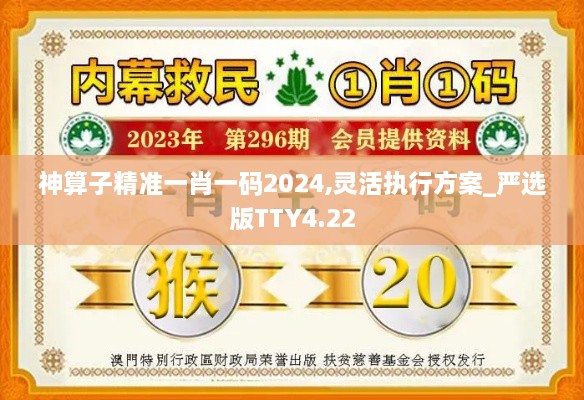 神算子精准一肖一码2024,灵活执行方案_严选版TTY4.22