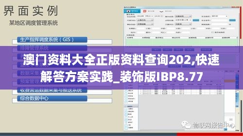 澳门资料大全正版资料查询202,快速解答方案实践_装饰版IBP8.77