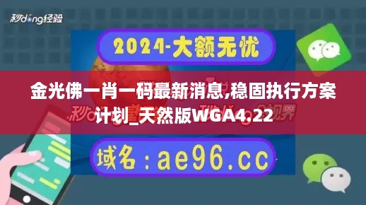 金光佛一肖一码最新消息,稳固执行方案计划_天然版WGA4.22