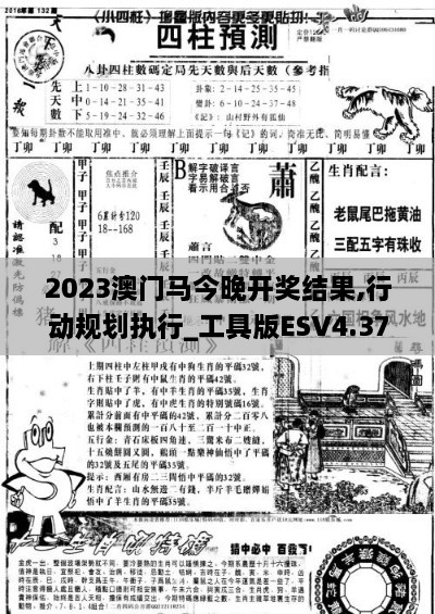 2023澳门马今晚开奖结果,行动规划执行_工具版ESV4.37