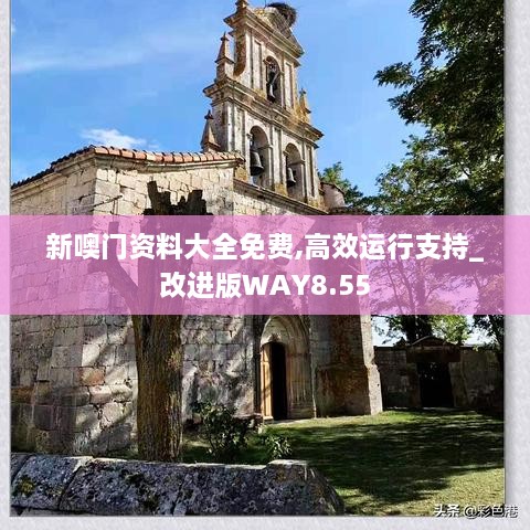 新噢门资料大全免费,高效运行支持_改进版WAY8.55