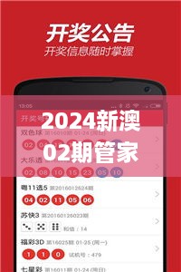 2024新澳02期管家婆,实地验证实施_外观版EDZ8.99