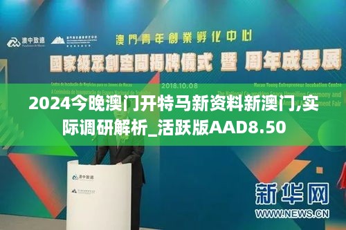 2024今晚澳门开特马新资料新澳门,实际调研解析_活跃版AAD8.50