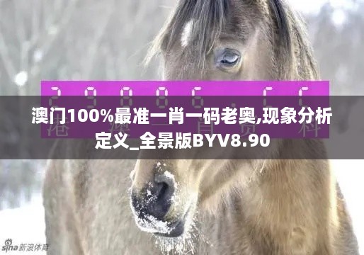 澳门100%最准一肖一码老奥,现象分析定义_全景版BYV8.90