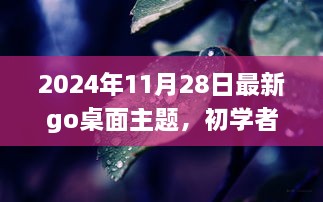 初学者与进阶用户适用的Go桌面主题安装设置指南（2024年最新版）