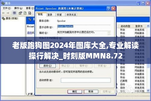 老版跑狗图2024年图库大全,专业解读操行解决_时刻版MMN8.72