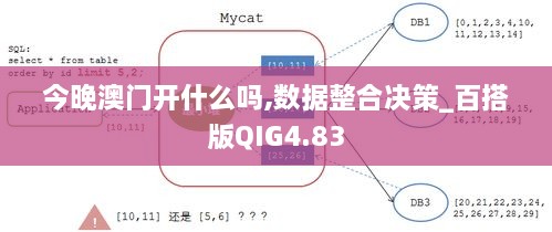 今晚澳门开什么吗,数据整合决策_百搭版QIG4.83