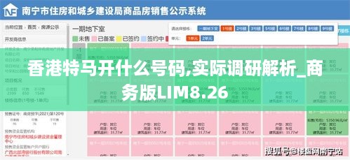 香港特马开什么号码,实际调研解析_商务版LIM8.26