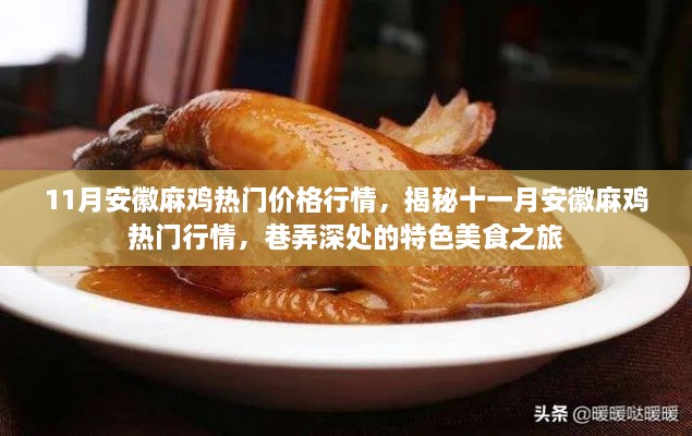 揭秘安徽麻鸡行情与特色美食之旅，十一月热门价格行情解析