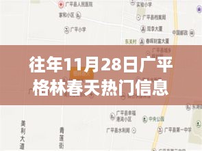 广平格林春天历年11月28日精彩瞬间与热门信息回顾，回顾往年盛况，展望今日风采