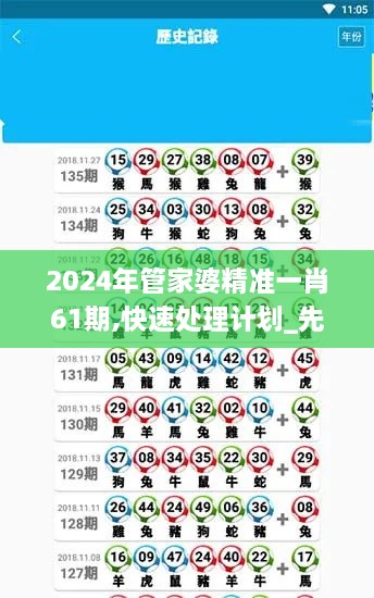 2024年管家婆精准一肖61期,快速处理计划_先锋实践版MQA8.81