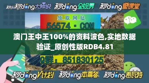 澳门王中王100%的资料波色,实地数据验证_原创性版RDB4.81