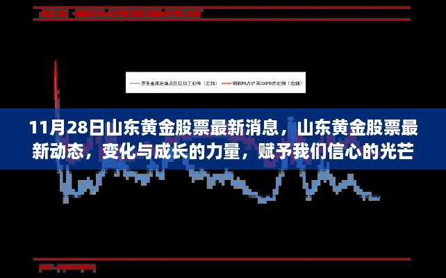 山东黄金股票最新动态，信心之光闪耀成长之路