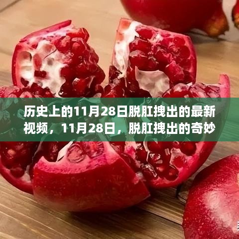 历史上的11月28日，脱肛拽出的奇妙日常与友情暖阳