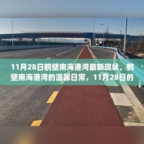 鹤壁南海港湾11月28日最新现状，温馨日常与情感纽带下的趣事