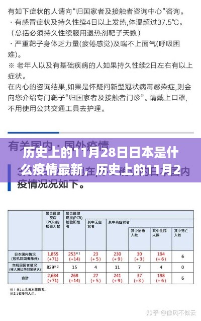 历史上的11月28日日本疫情现状与防控指南揭秘