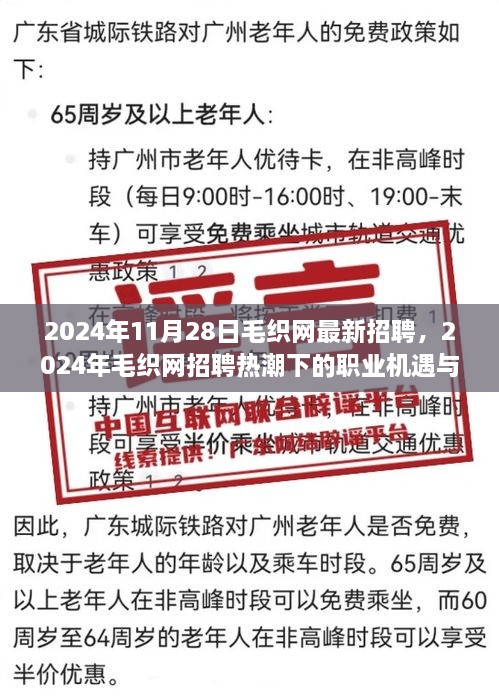 毛织网招聘热潮下的职业机遇与挑战，探索毛织行业未来人才趋势