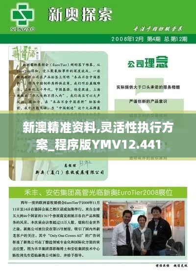 新澳精准资料,灵活性执行方案_程序版YMV12.441