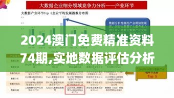 2024澳门免费精准资料74期,实地数据评估分析_进口版DMA43.158