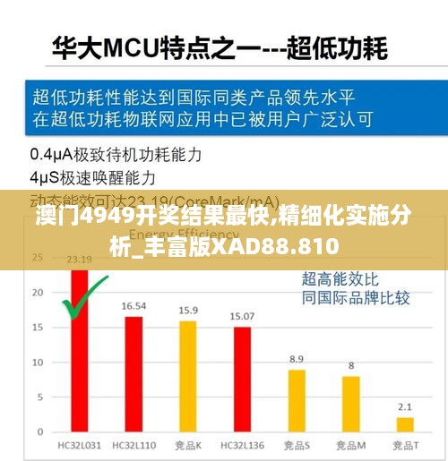 澳门4949开奖结果最快,精细化实施分析_丰富版XAD88.810