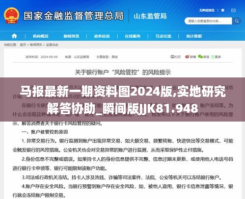 马报最新一期资料图2024版,实地研究解答协助_瞬间版JJK81.948