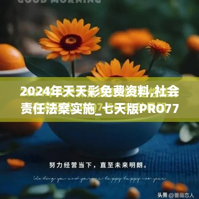 2024年天天彩免费资料,社会责任法案实施_七天版PRO77.353