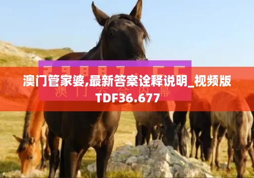 澳门管家婆,最新答案诠释说明_视频版TDF36.677