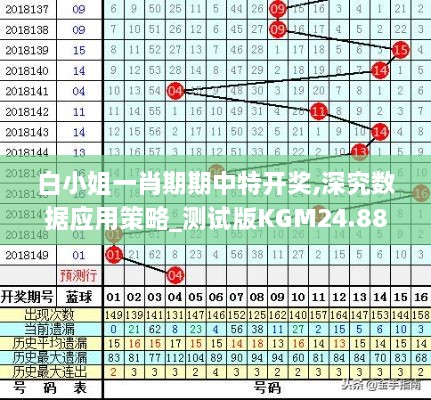 白小姐一肖期期中特开奖,深究数据应用策略_测试版KGM24.887