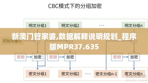 新澳门管家婆,数据解释说明规划_程序版MPR37.635