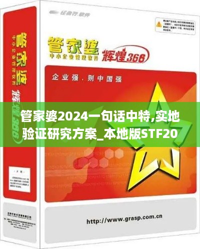 管家婆2024一句话中特,实地验证研究方案_本地版STF20.246