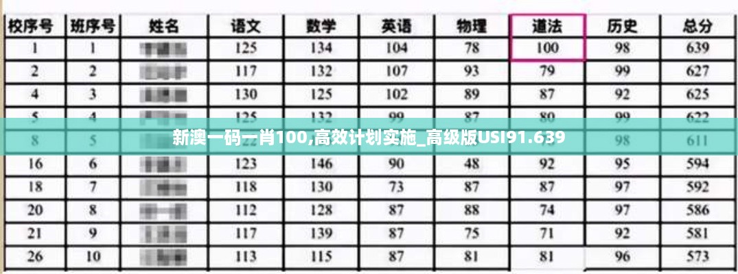 新澳一码一肖100,高效计划实施_高级版USI91.639