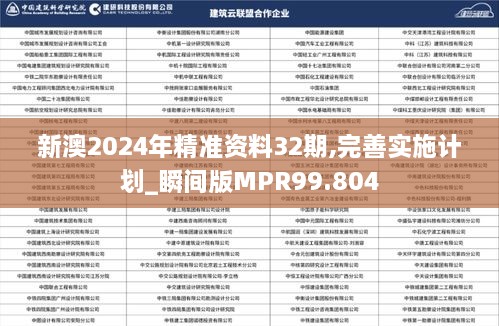 新澳2024年精准资料32期,完善实施计划_瞬间版MPR99.804