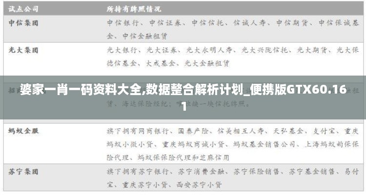 婆家一肖一码资料大全,数据整合解析计划_便携版GTX60.161