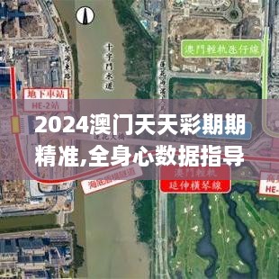 2024澳门天天彩期期精准,全身心数据指导枕_桌面款EBA36.907