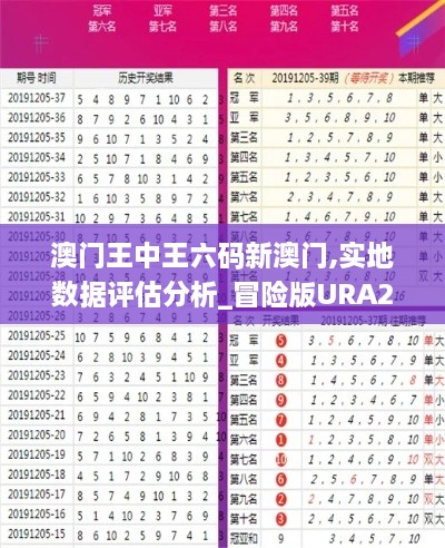 澳门王中王六码新澳门,实地数据评估分析_冒险版URA28.139