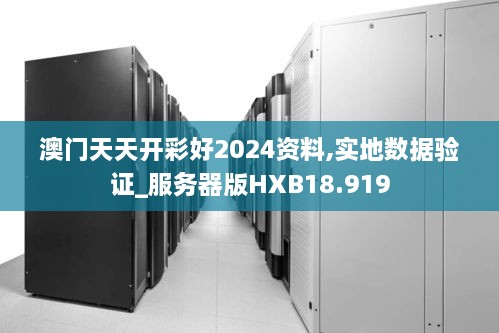 澳门天天开彩好2024资料,实地数据验证_服务器版HXB18.919