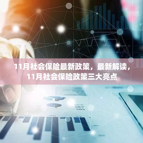 11月社会保险最新政策解读，三大亮点揭秘