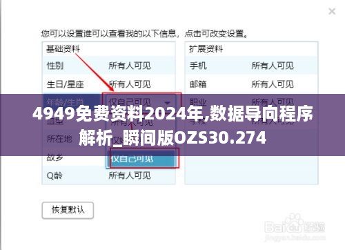 4949免费资料2024年,数据导向程序解析_瞬间版OZS30.274