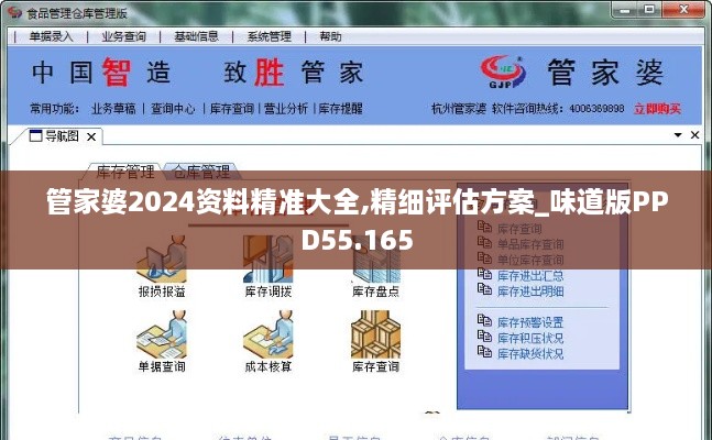 管家婆2024资料精准大全,精细评估方案_味道版PPD55.165