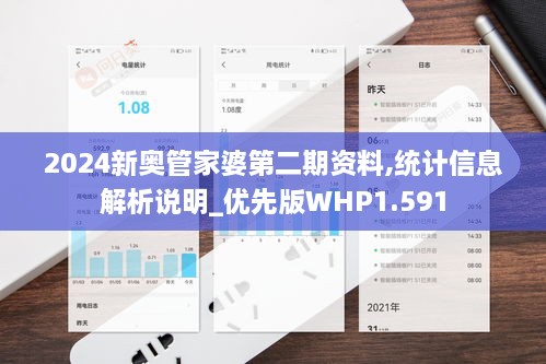 2024新奥管家婆第二期资料,统计信息解析说明_优先版WHP1.591