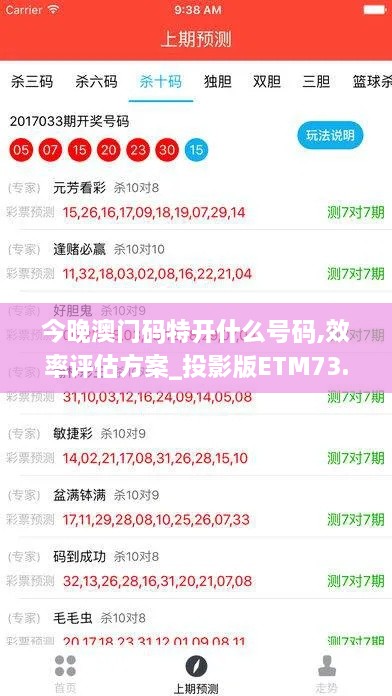 今晚澳门码特开什么号码,效率评估方案_投影版ETM73.759