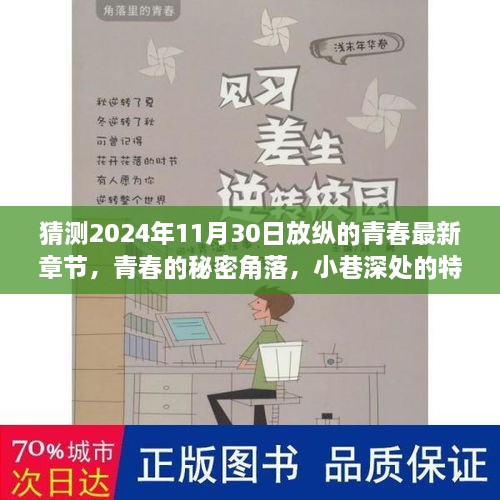 青春的秘密角落，小巷深处的特色小店与放纵的青春最新章节猜想